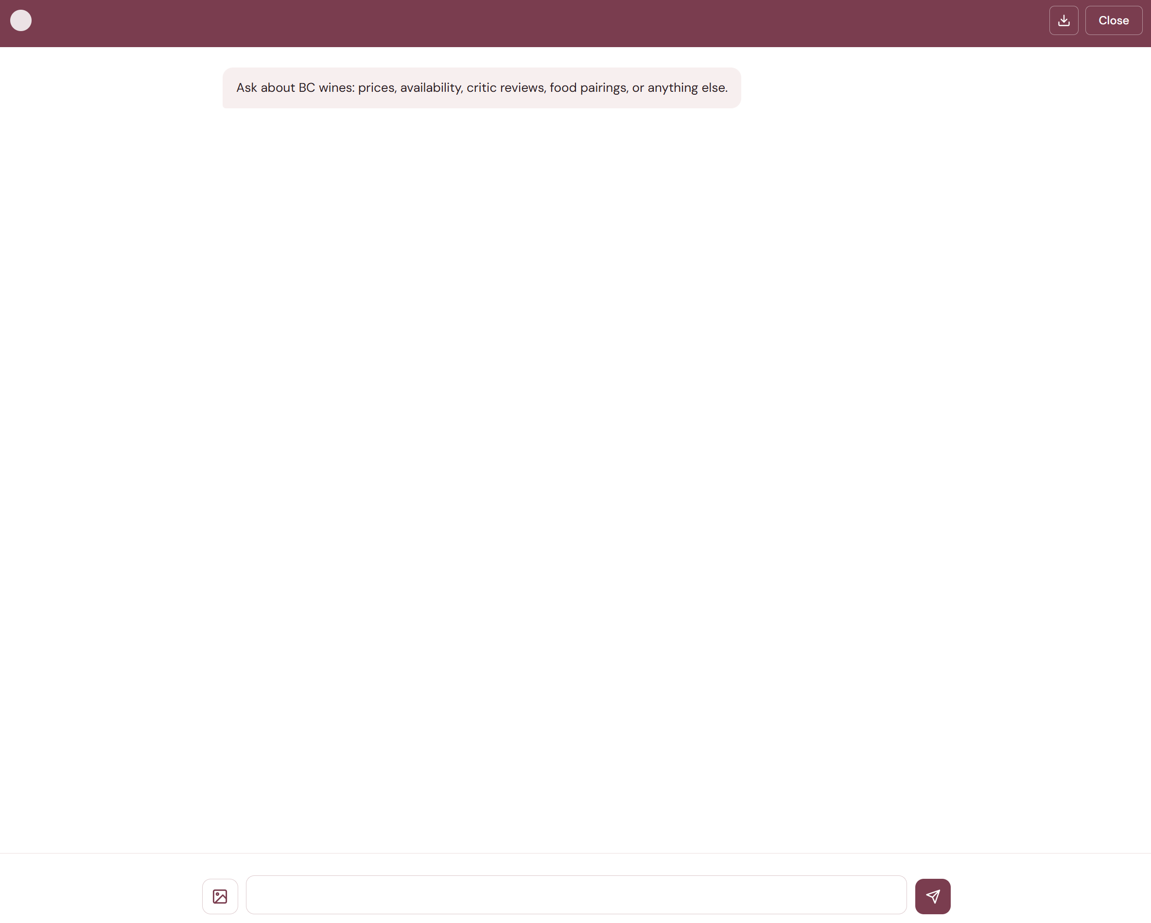 The empty chat interface showing the header with status indicator, save-as-PDF button, close button, greeting message, image attach button, and text input area